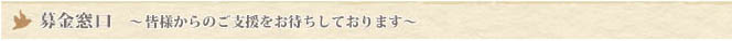 活動内容